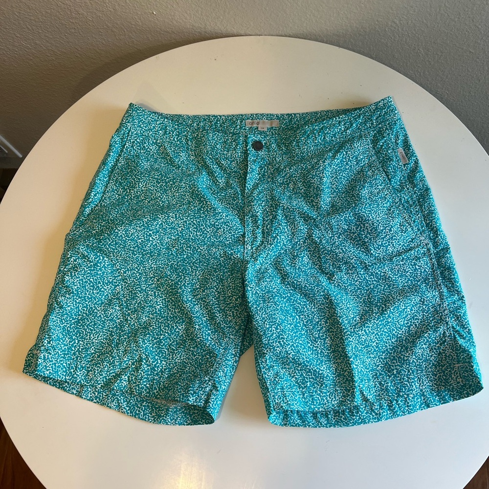 ONIA- Turquoise Patterned Shorts
